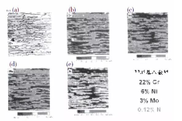 Microstructure et distribution élémentaire de UNS S31803