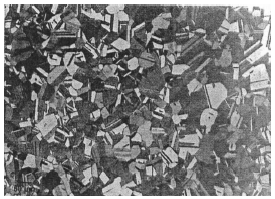 Figure 2 La microstructure de l'acier inoxydable austénitique Sanicro 28 au microscope optique, qui a un grand nombre de frontières jumelles