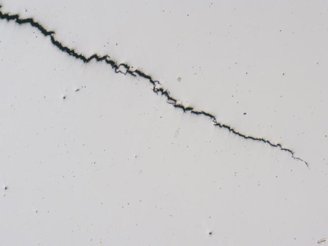 Stress corrosion cracking in stainless - Header