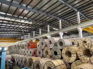 1J85 Strip Supplier in China